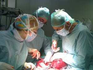 Prevenzione Oncologica – Displasia – CIN